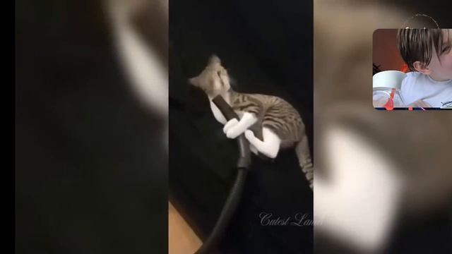 ЗАСМЕЯЛСЯ – съел СОЛЬ