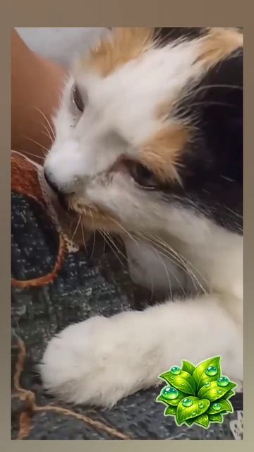 Россия.Сибирь. Ангарск. 18.04.2026г. 🥰🥰🥰 Они для нас СТРАНИЦА В ЖИЗНИ, а мы для них ВСЯ ЖИЗНЬ!