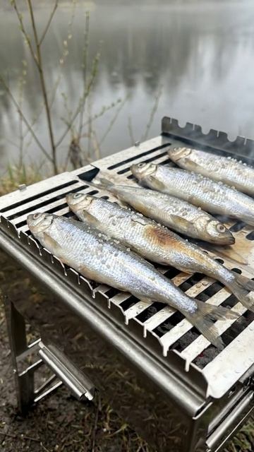 Когда рыба выглядит дороже, чем есть на самом деле
