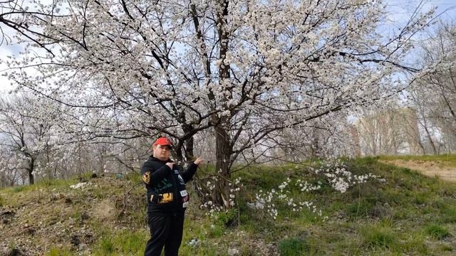 Видеоблог как мы ехали по как мы приехали на пляж