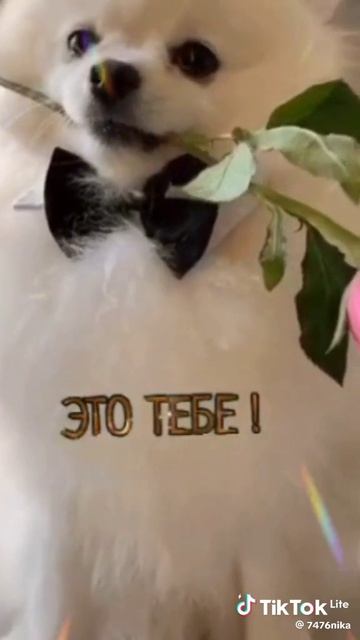 12951.mp4 Елена Дружиненко Воркута