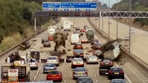 Evolution [Primeval] Creatures