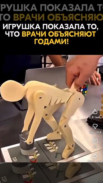 Игрушка показала как грыжа вылазит