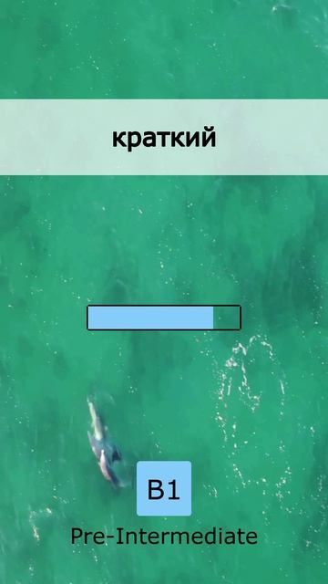  Секреты английского: Средний Уровень 03 May 2026