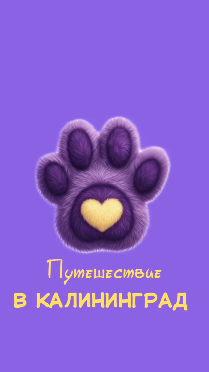 Путешествие в Калининград