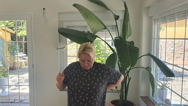 Курбанова- ТЁТУШКИН  ПИРОЖОЧЕК. Установка мойки .