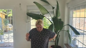 Курбанова- ТЁТУШКИН  ПИРОЖОЧЕК. Установка мойки .