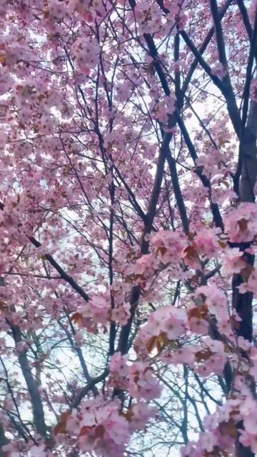 тгк: я фотограф, я так вижу