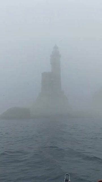 Когда ко мне на Сахалин приедут гости, я покажу им ЭТО: