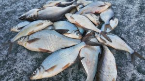 ВЕСЕННИЕ УЛОВЫ НЕ МОГУТ НЕ РАДОВАТЬ! РЫБАЛКА НА ПОДЛЕЩИКА! МОРМЫШКА И КОРОМЫСЛО!