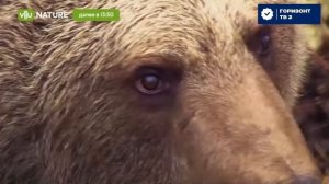 Горизонт тв 2