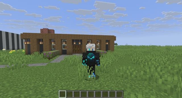 установил скин на 10 подписчиков