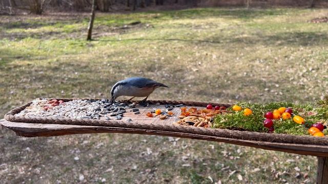 Кормушка для птиц 🤍 🐦🐦🐦🤍