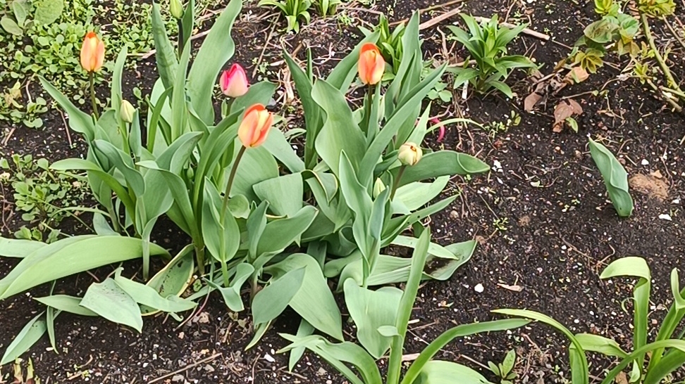 тихий выходной