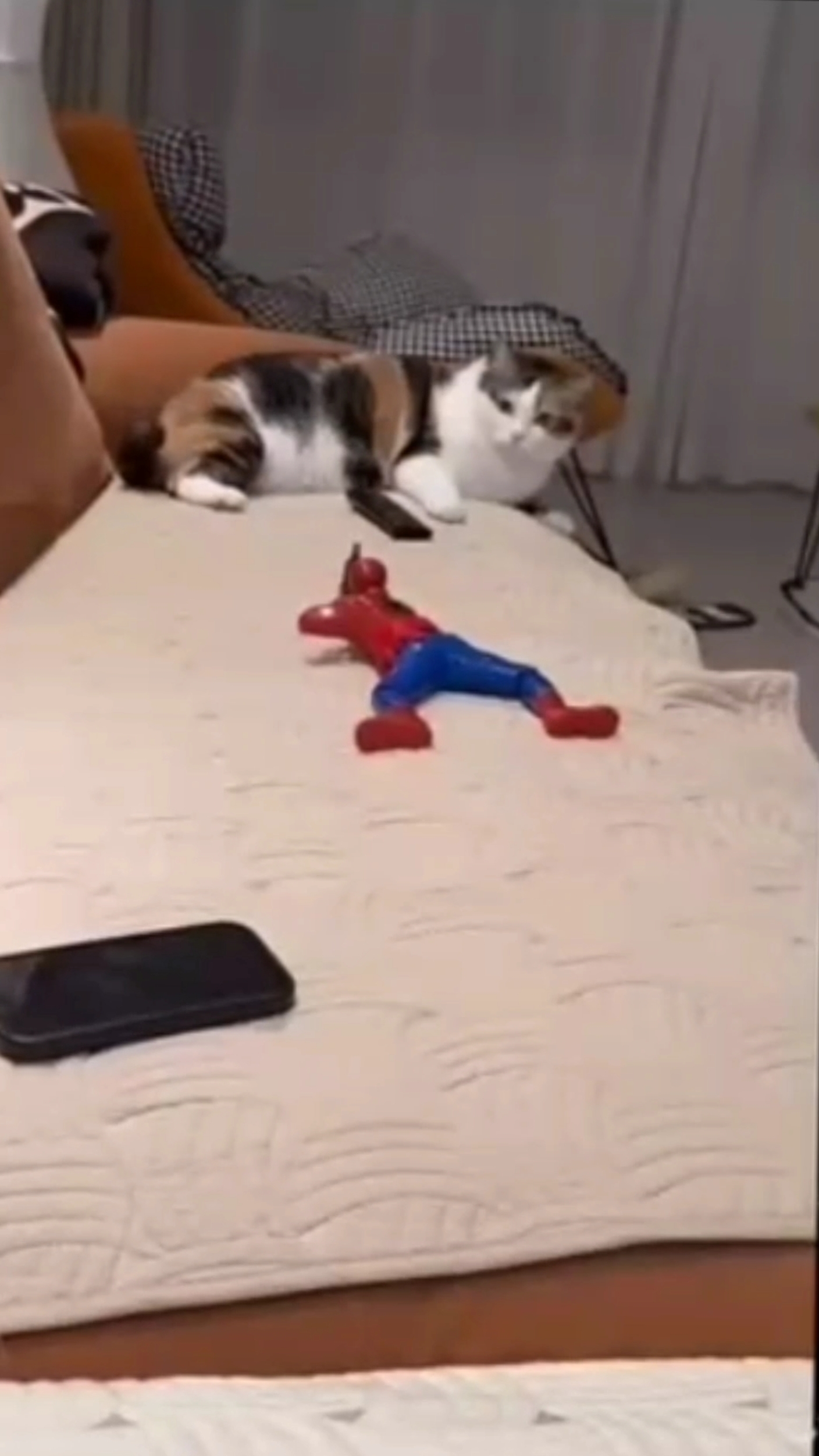 конец просто 🤣