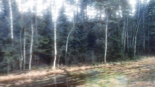 это видео сделано чтобы успокоится.mp4