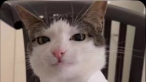 ИЩУ ИГРОКОВ ДЛЯ СЪЁМОК