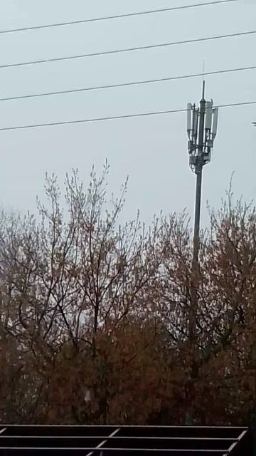 почему у меня в дворе SCP