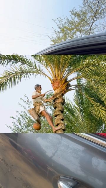 Чем подпаивают индийцев