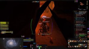 начало пути кота