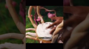 Хороший фильм на вечер !