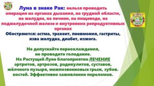 Чем ВАжным Можно Заняться в Огороде 22 и 23 апреля 2026 года?!