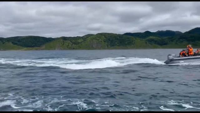 Просто косатки на Сахалине плывут по своим делам