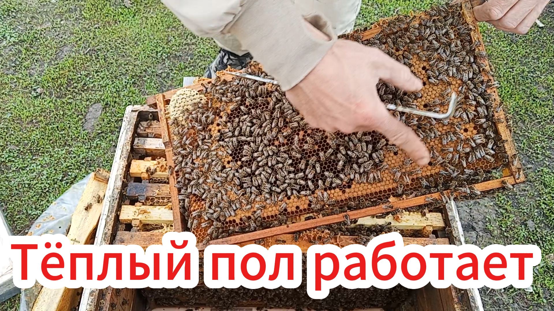 Ревизия на домашнем точке.