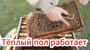 Ревизия на домашнем точке.