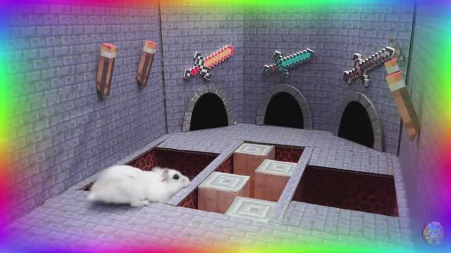 Хомяк против кальмара! Игровой вызов. часть 5