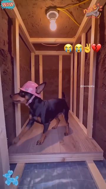 постель строитель 