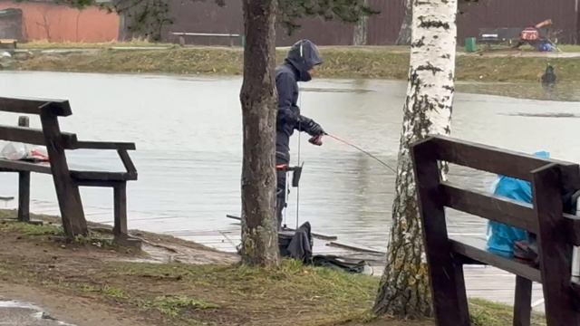 Три хвоста в зачете, в разных частях водоема