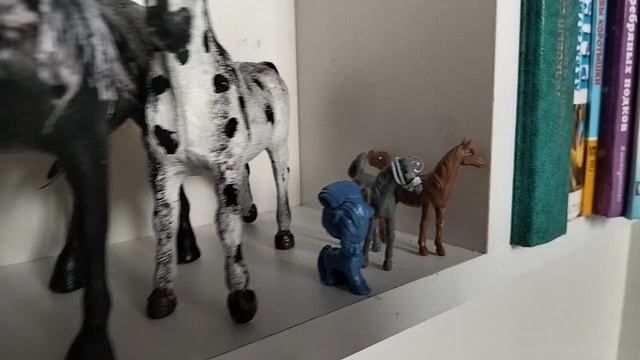 обзор на ВСЮ мою коллекцию