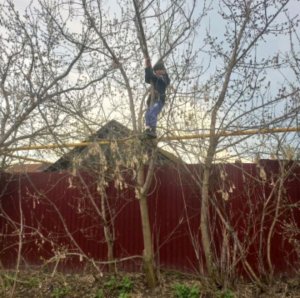 тётя люда сошла с ума