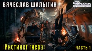 01.01 Вячеслав Шалыгин "Сыщик Туманов" (книга 1) "Инстинкт гнева" (часть 1)