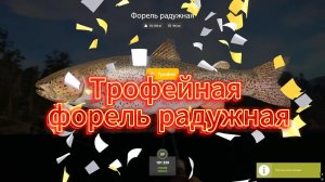 Оз.Куори-Трофейная форель радужная.#РР4#Русскаярыбалка4