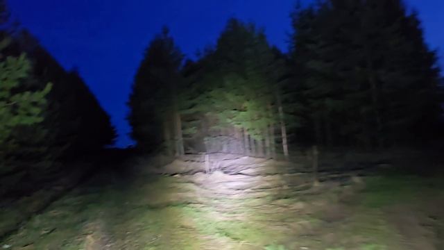 Вечерняя прогулка с друзьями на 4х колесном)