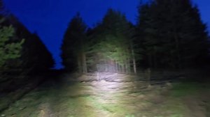 Вечерняя прогулка с друзьями на 4х колесном)