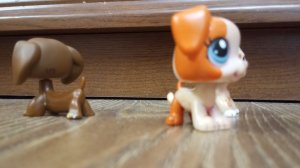 лпс популяр эпизод 2 (русская озвучка) видео от Nastya _ Diy