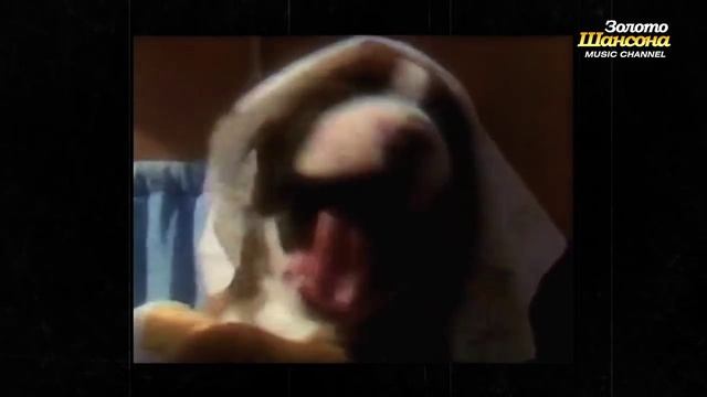 Лесоповал - Птичий рынок