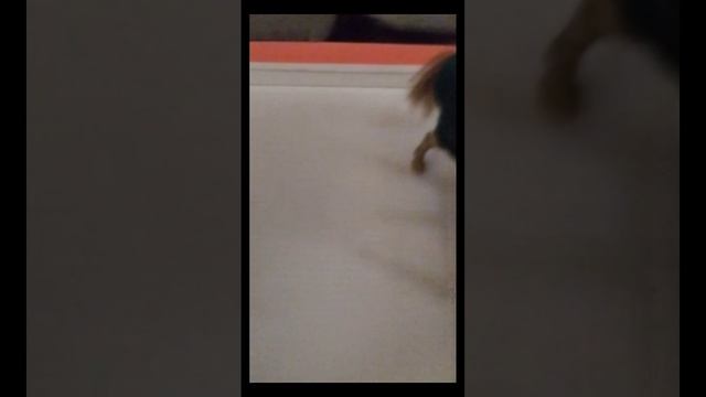 серял лошадь востока 2 чясть