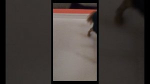 серял лошадь востока 2 чясть