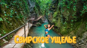 Лазаревское. Сочи🌴 Свирское ущелье и водопад