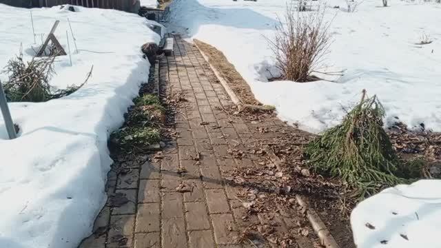 Новости из деревни 🏡 Мои планы