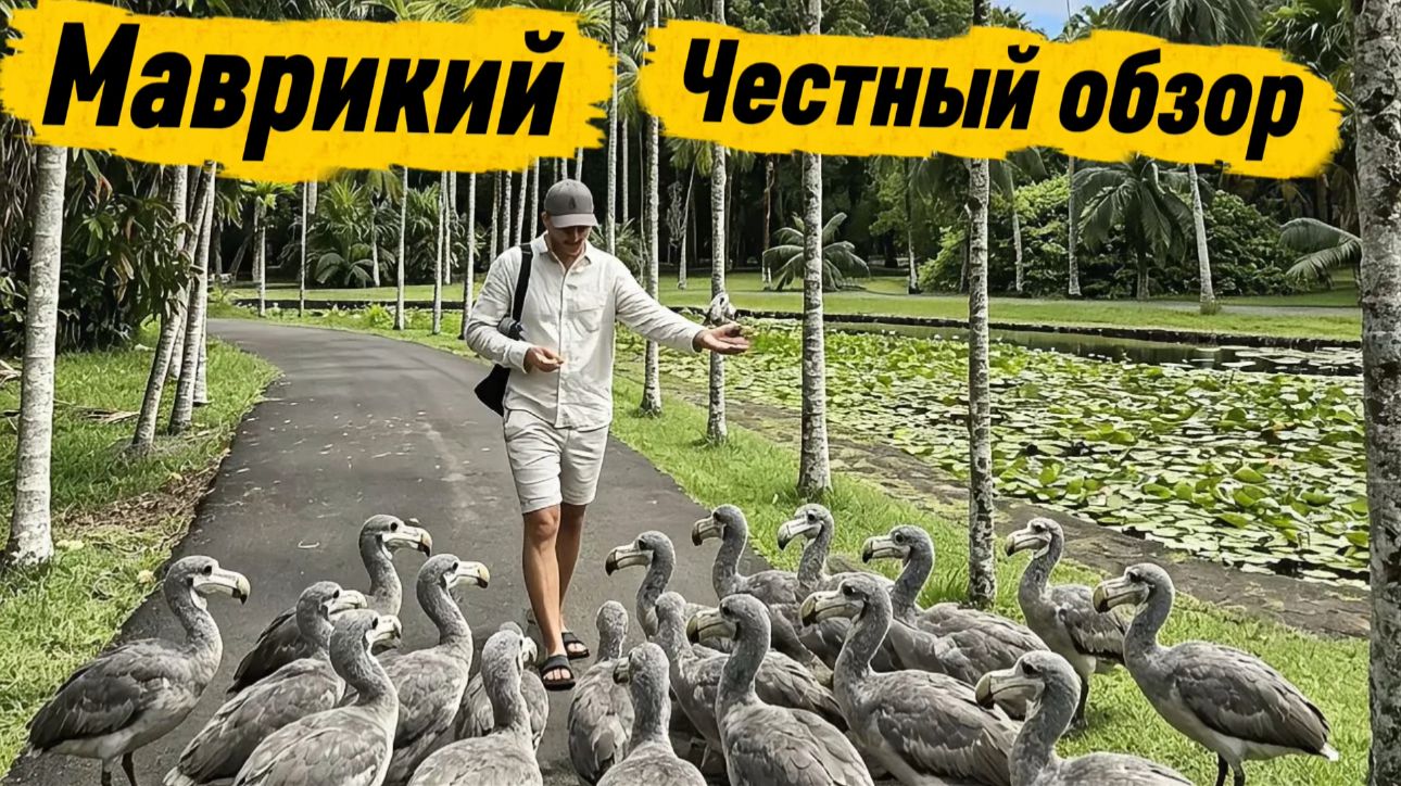 Маврикий остров мечты или разочарований? Самый честное мнение об острове. Маврикий 2026