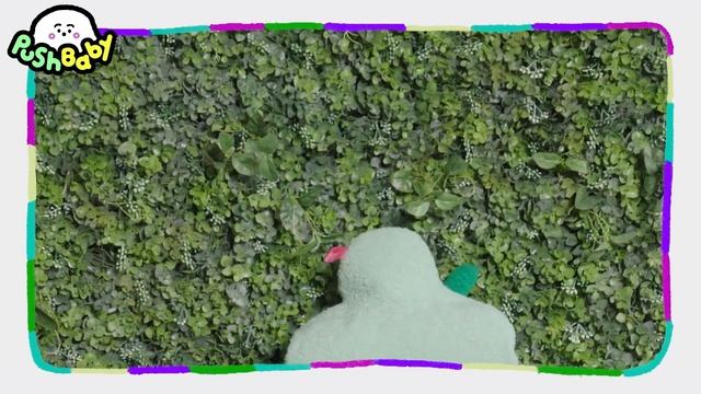 Everyday Life Of NEW  Cars, Grasses, Flowers  Puppet PushBaby Official