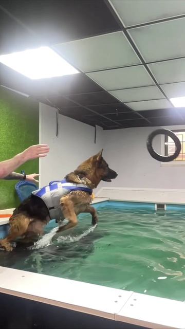 Самый лучший способ разгрузить суставы- это нагрузить мышцы.