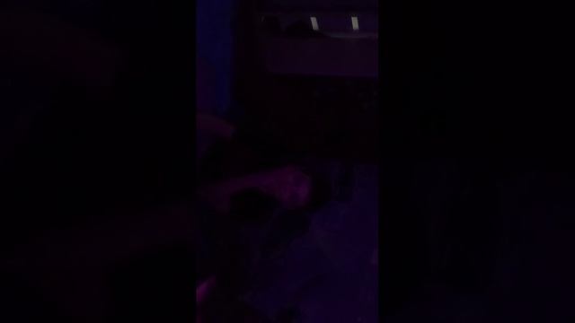 стрим с Данилом калбасенком