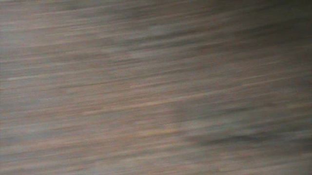 59)О БЕРЕНДЕЕВОЕ ЦАРСТВО