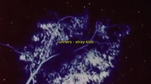 RUNNERS - STRAY KIDS (2024)